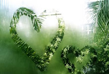 九游体育-包含浓眉哥新星持续失利表现突出，切尔西前途光明！的词条